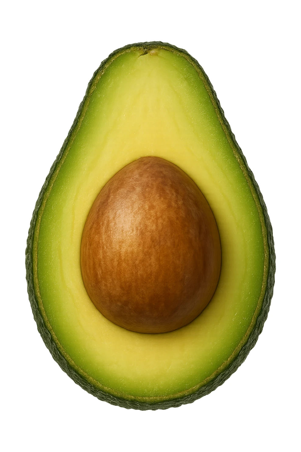 avocado visti dall'alto iperrealistiche 4k sticker
