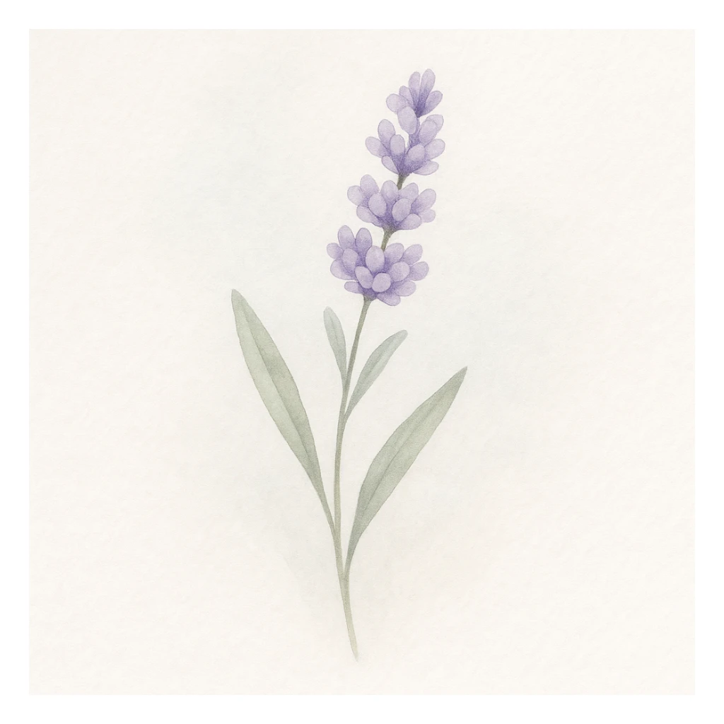 Make the lavender sprig more detailed, with delicate petals and realistic leaves, while keeping the soft background and gentle, minimal look in a watercolor art style. sticker