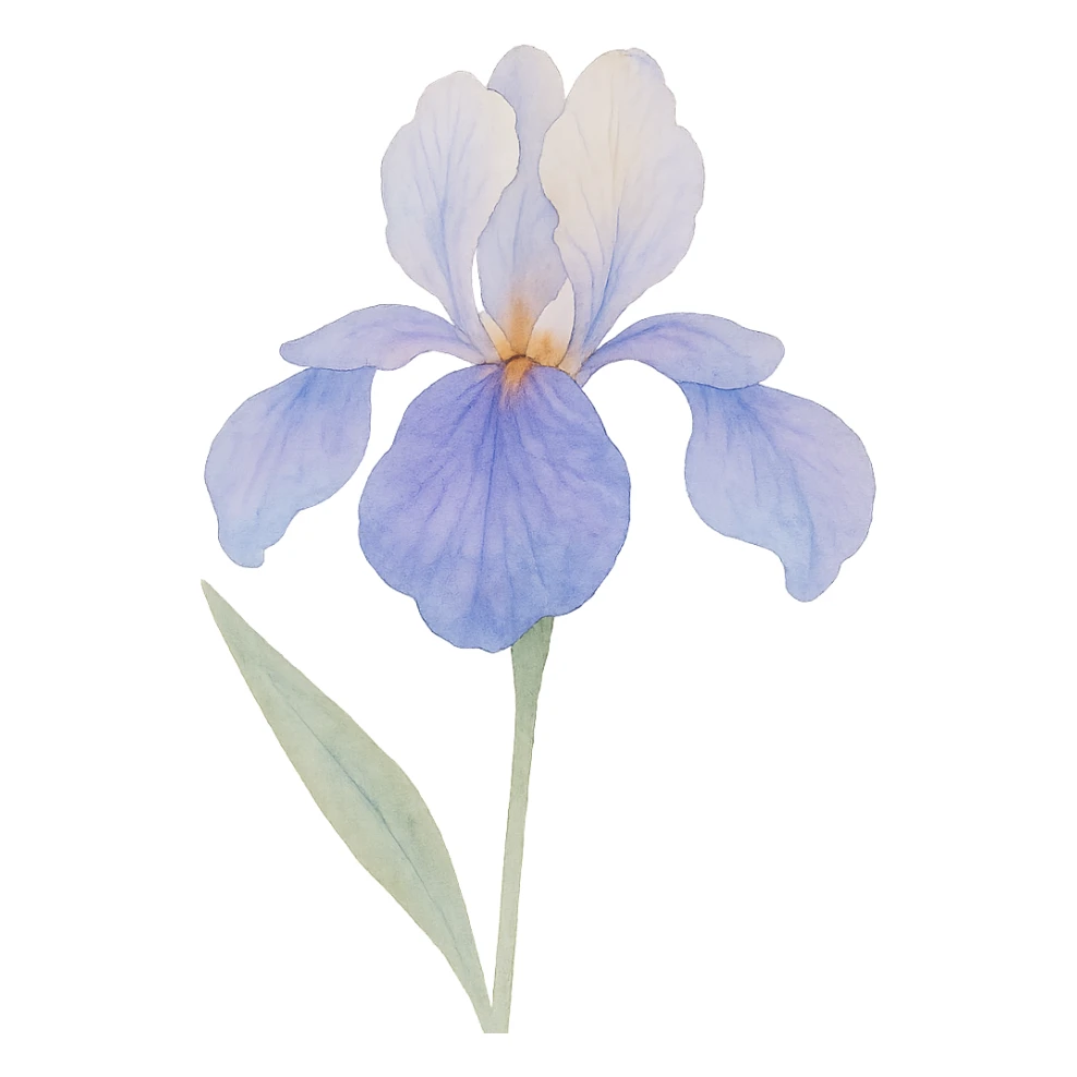 very detailed iris flower, delicate petals, vibrant purples and blues, soft gradients, realistic botanical details sticker