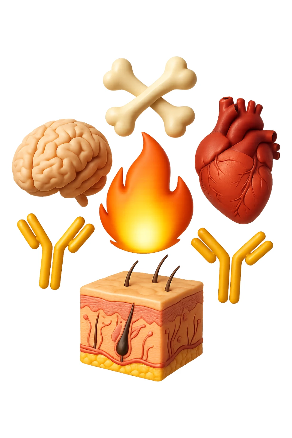 EMOJI STILE IPHONE 3D DI cervello, ossa, cuore, porzione di epidermide e cellule di anticorpi che girano in tondo, al centro di questi elementi c'è una fiamma 3d  FALLO MOLTO REALISTICO IN 3D sticker
