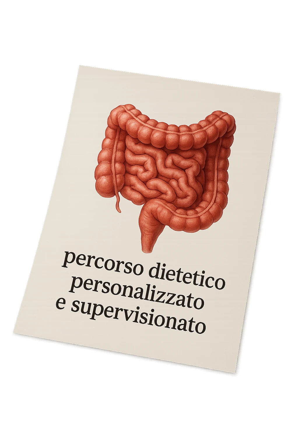 foglio di carta con intestino disegnato sopra e la scritta "percorso dietetico personalizzato e supervisionato", iperrealistico 4k sticker