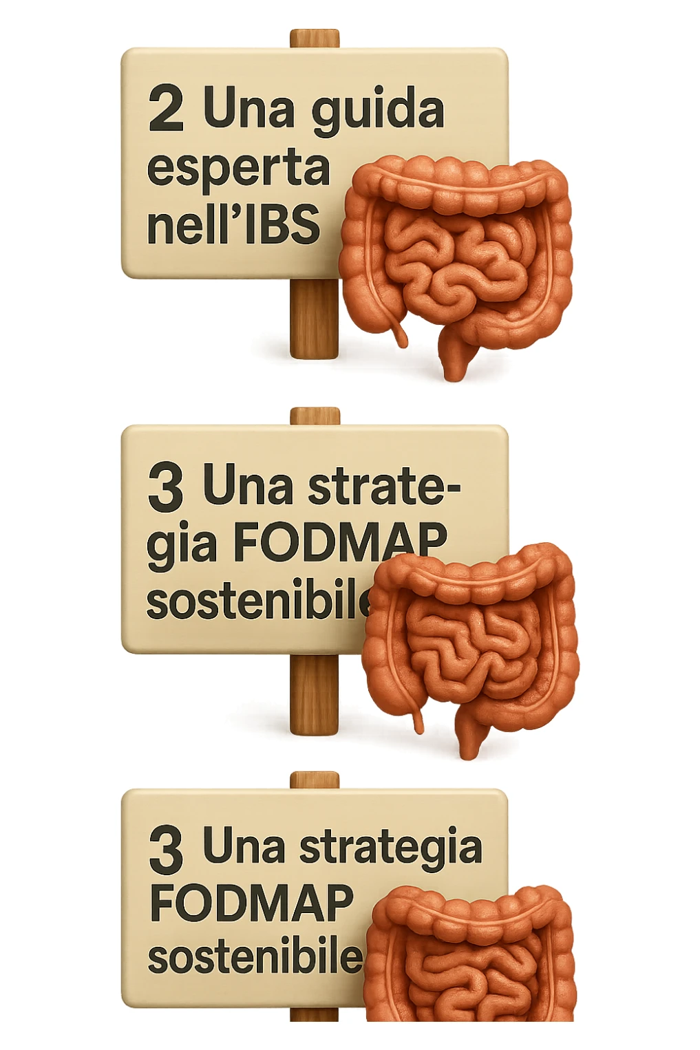 emoji stile iphone di 3 targhette numerate con intestino realistico davanti ad ogni targhetta, le targhette sono:
"1 – Un piano chiaro e strutturato
2 – Una guida esperta nell’IBS
3 – Una strategia FODMAP sostenibile"
, iperrealistico 4k sticker
