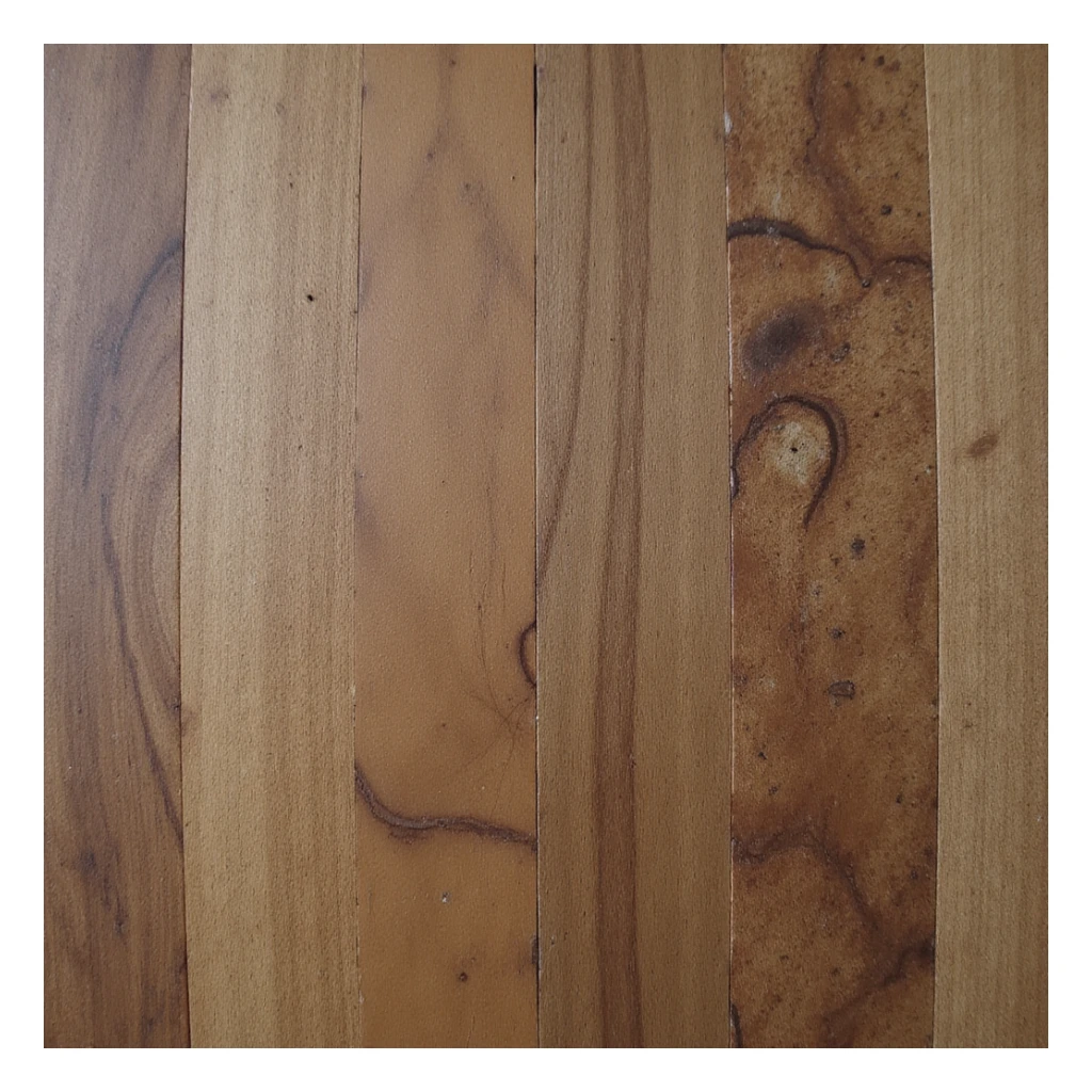 a realistic walnut, detailed texture, natural colors sticker