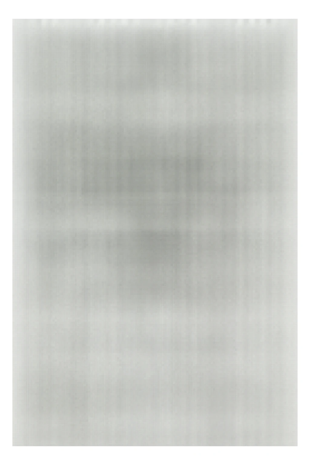 bodybuilder fa squat con bilanciere  sticker