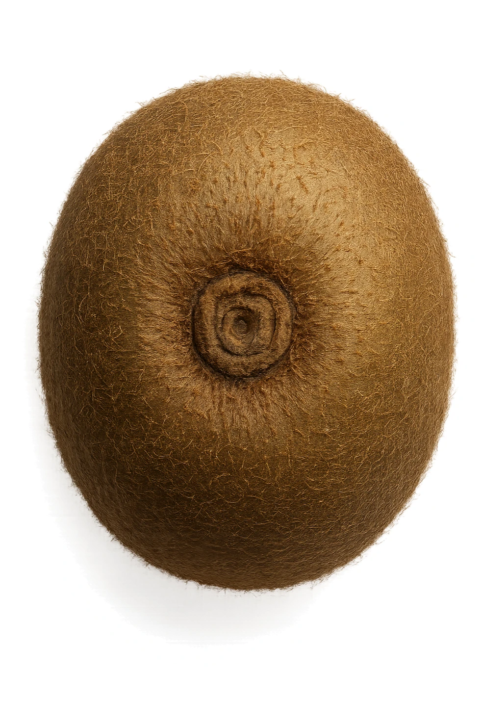 kiwi visto dall'alto, iperrealistiche 4k sticker