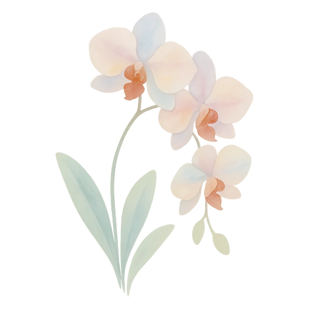 orchid with stem and leaves, luminous colors, gentle blending, realistic botanical illustration, watercolor art style sticker