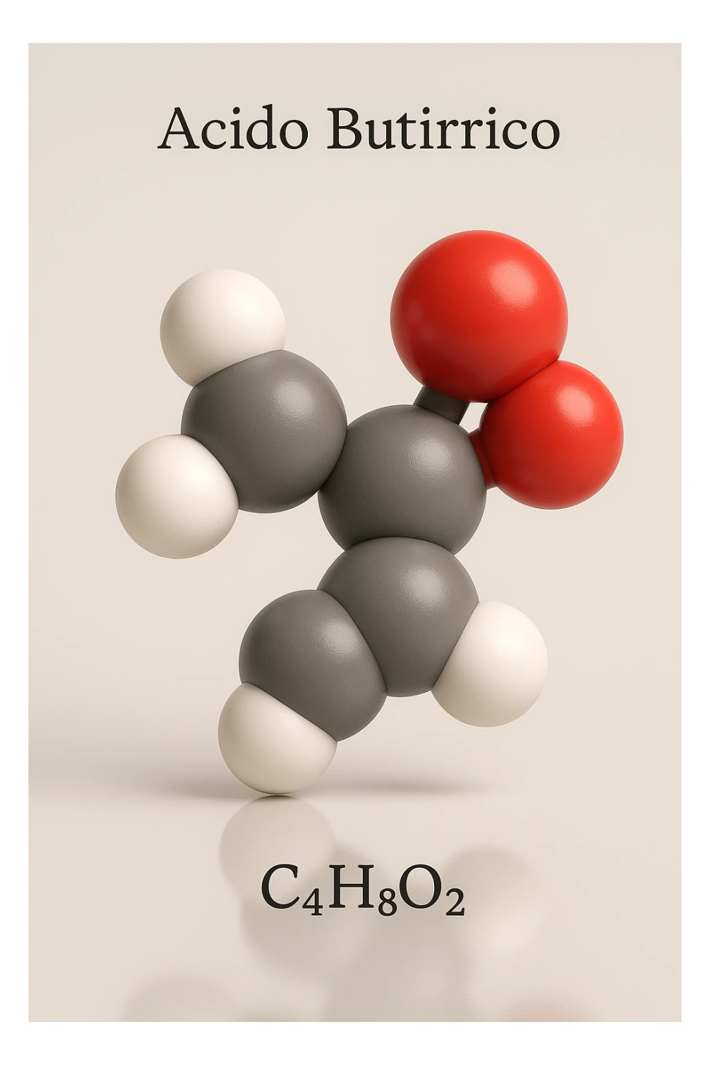 a detailed space-filling model of butyric acid, with each atom color-coded (carbon: gray, hydrogen: white, oxygen: red). The molecule is centered and slightly rotated to show depth, with a subtle reflection on the surface below. The name “Acido Butirrico” and the formula C4H8O2 appear as clear labels. sticker