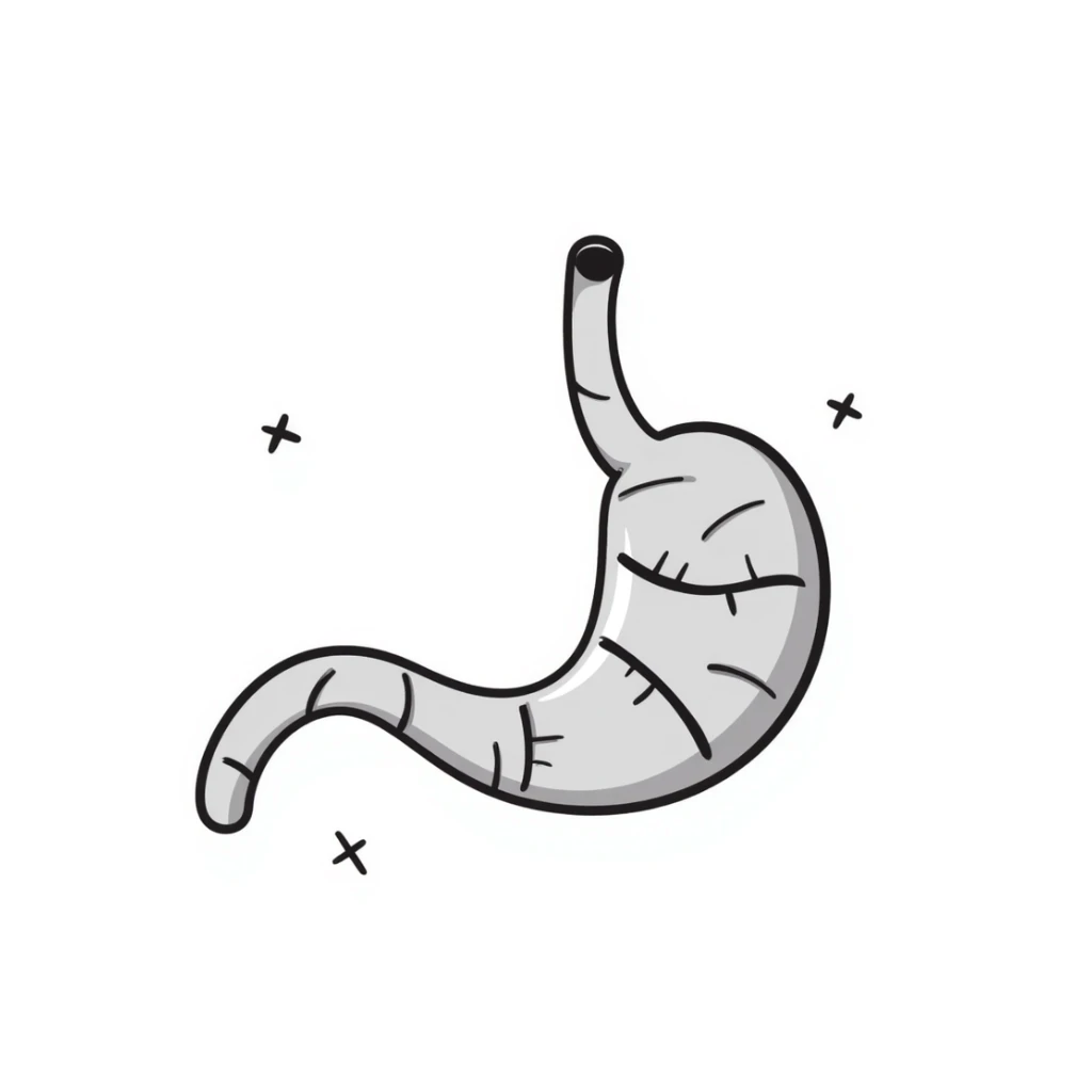 Hand-drawn stomach organ being mended with stitches and healing symbols sticker