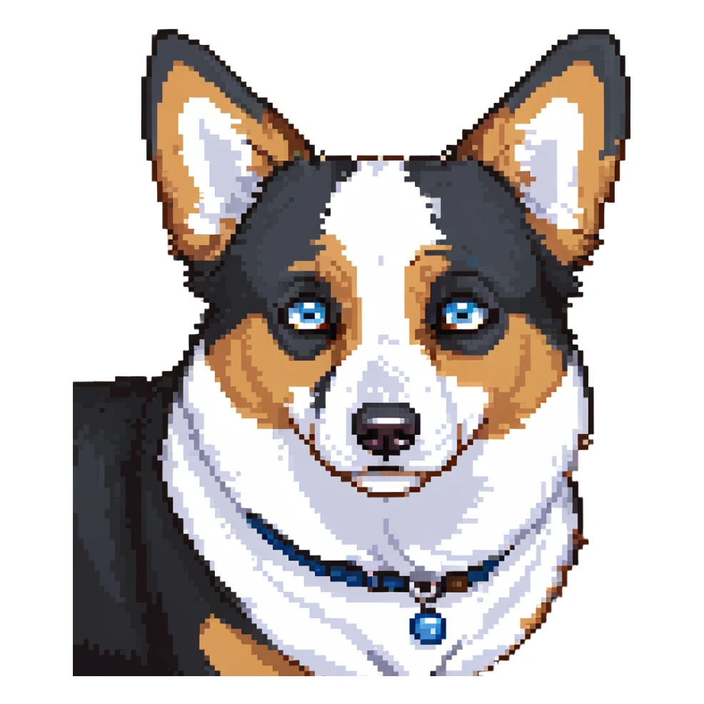 scared corgi, black fur, white underbelly, heterochromia, one brown eye, one blue eye sticker