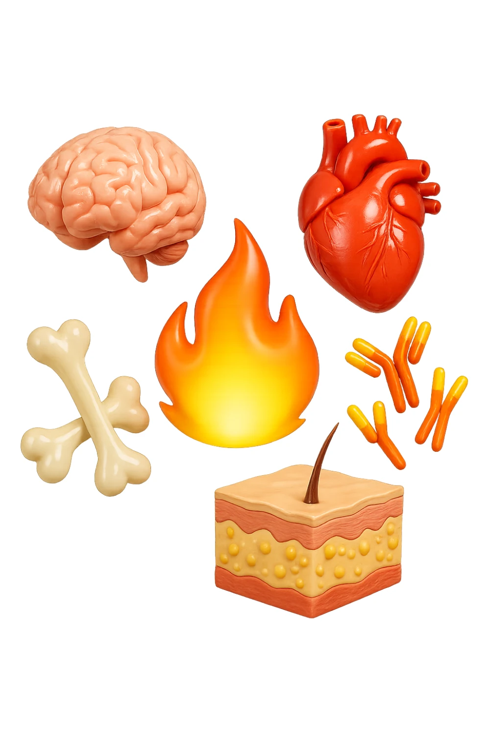 EMOJI STILE IPHONE 3D DI cervello, ossa, cuore, porzione di epidermide e cellule di anticorpi che girano in tondo, al centro di questi elementi c'è una fiamma 3d  FALLO MOLTO REALISTICO IN 3D sticker