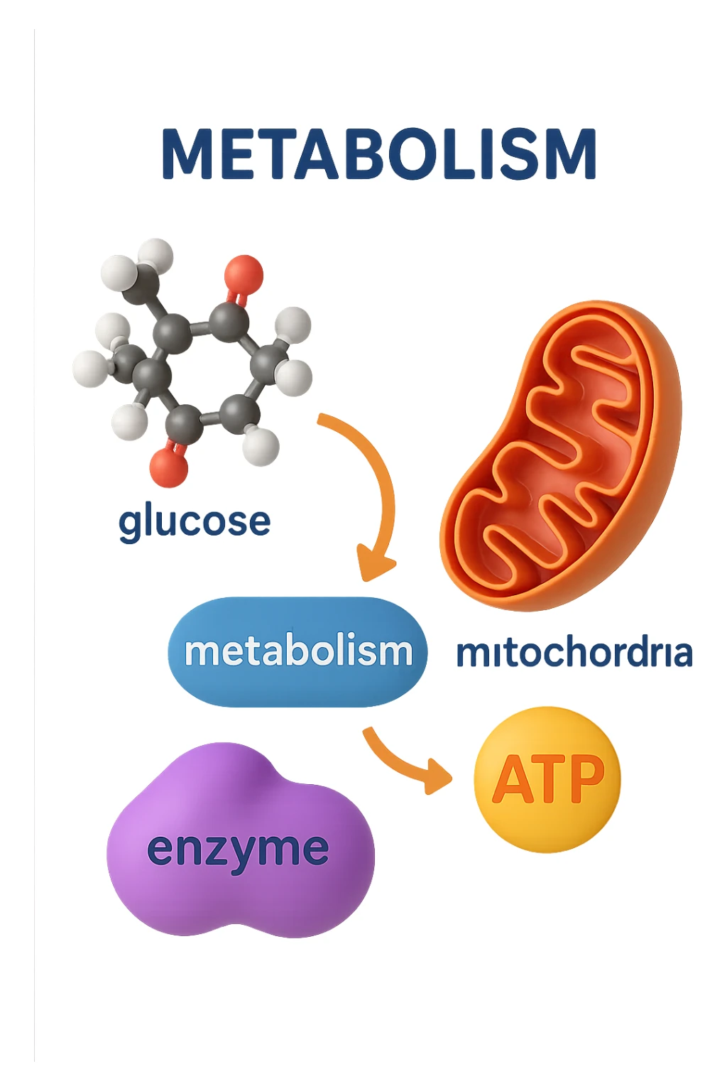 metabolismo 3d sticker