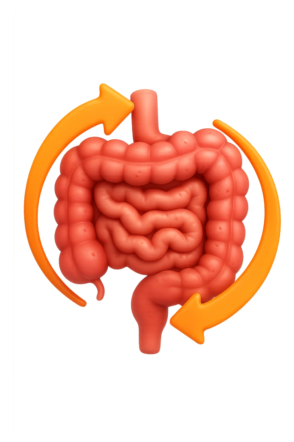 emoji 3d stile iphone di un intestino che si rigenera 3d sticker