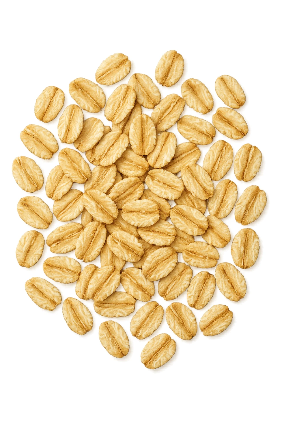 fiocchi di avena visti dall'alto sticker