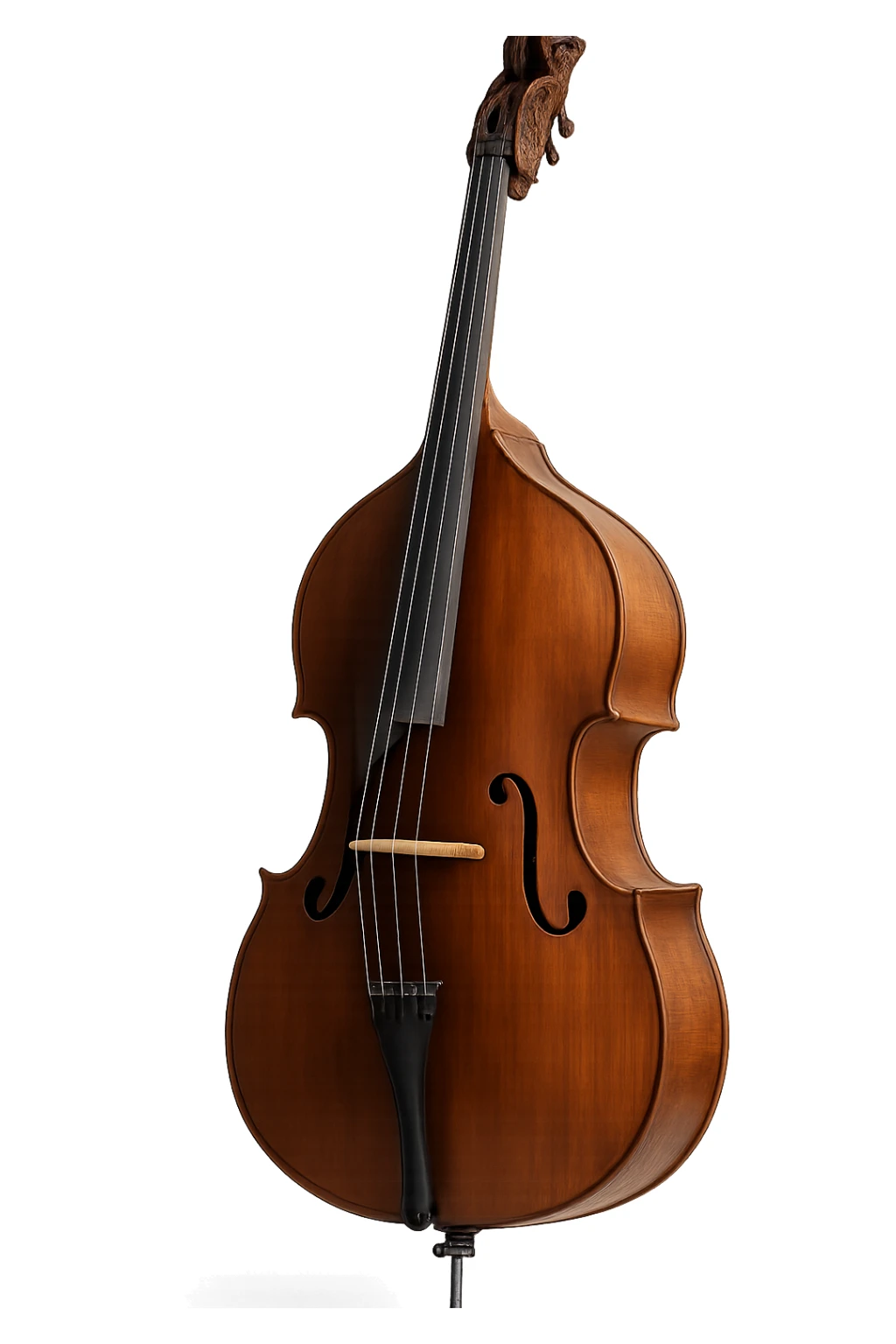 upright bass, detailed, realistic, no background sticker
