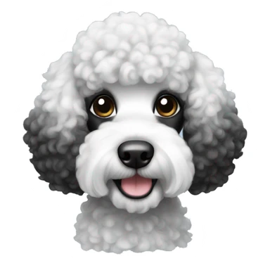 Black and white poodle sticker