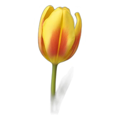 Tulipe originale sticker