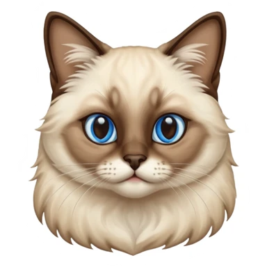 
Siamese cat: long hair fur blue eyes sticker