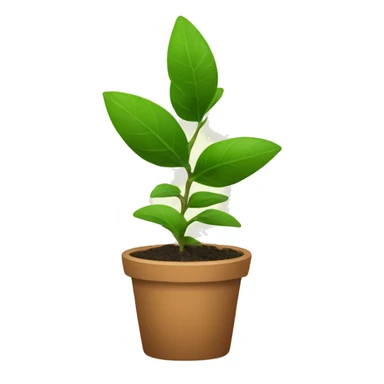 Plant propagation sticker