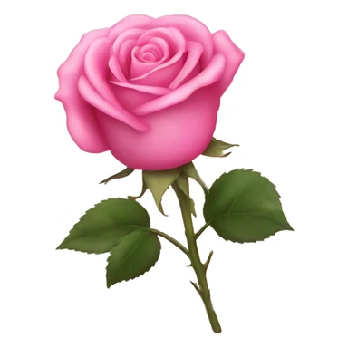 Pink rose sticker