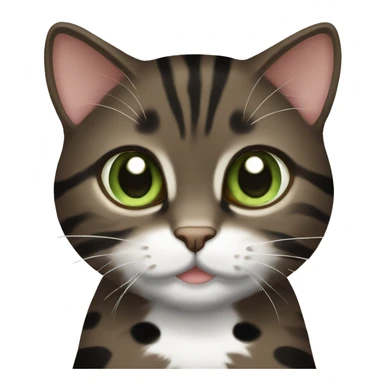 Dark brown tabby dark brown black spotted with white paws cat with brown-green eyes  sticker
