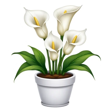 Cala lily flower pot sticker