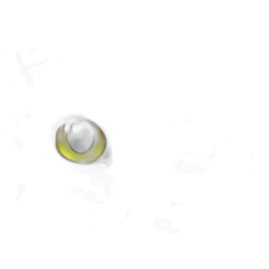 Grey asymmetrical face marking and white tabby european cat with yellow green eyes sticker