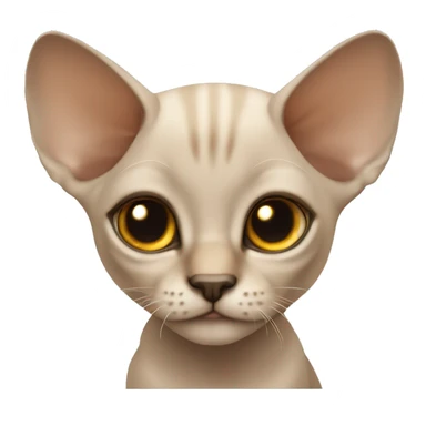 Beige sphinx kitten  sticker