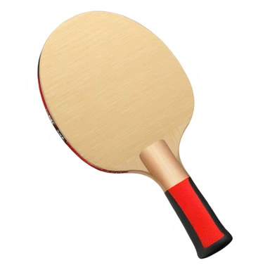table tennis bat sticker