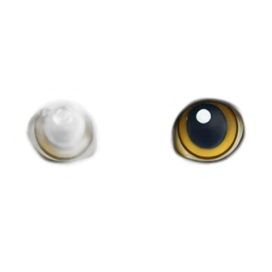 British longhair cat sticker