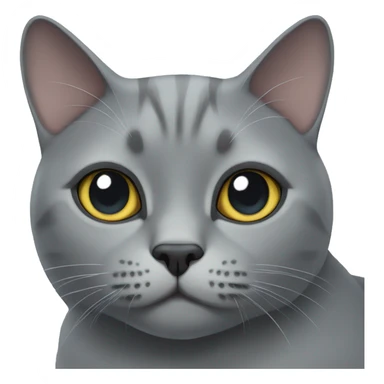 grey british cat  sticker
