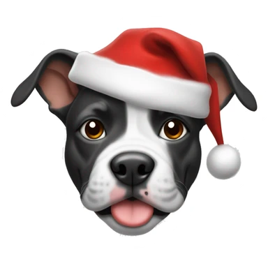 Black and white short pocket bully wearing a Christmas hat sticker