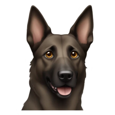Dutch Shepherd dog, light brown in eyes area sticker