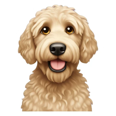 Blonde labradoodle sticker