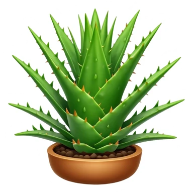 aloe sticker