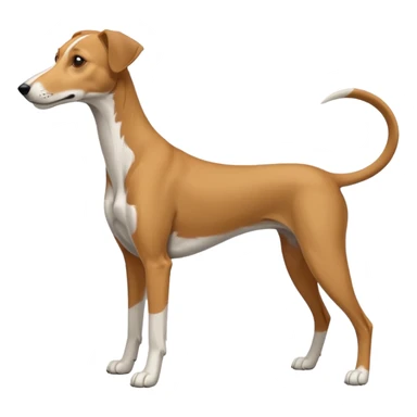 Foxhound lurcher sticker