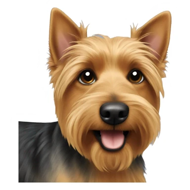 Australian terrier  sticker