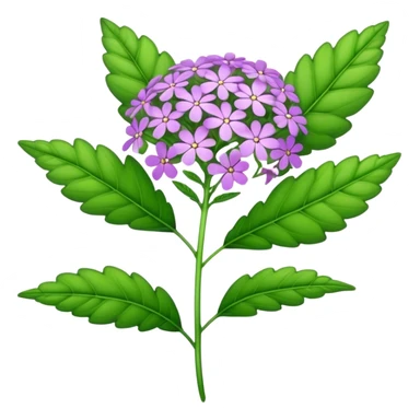 big single verbena flower, leaf sticker