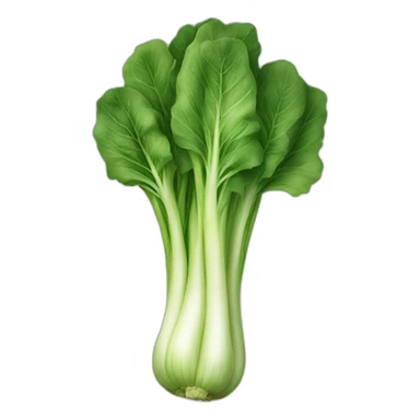 Bokchoy sticker