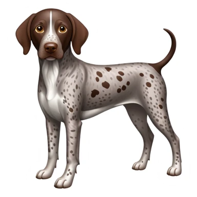 Liver roan German Shorthaired Pointer  sticker