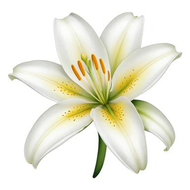 White lily flower sticker