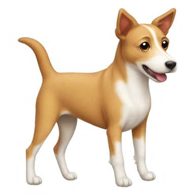 cute mutt podengo dog  sticker