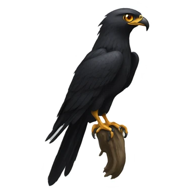 Talon sticker