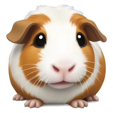guinea pig skelet sticker