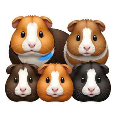 a group of 8 guinea pigs 2  big and creme colour 2 big and black 1 small black white and brown 1 small black and brown 1 small white and 1 small creme  sticker