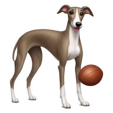 greyhound wearing football jersey sticker