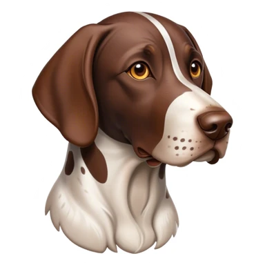 Cinematic German Pointer Portrait Emoji, Elegant and alert, sleek brown and white tones, Simplified yet sharp features, highly detailed, glowing with a warm, confident glow, high shine, intelligent and poised, stylized with an air of grace, focused and attentive, soft glowing outline, capturing the essence of agility and loyalty, so lifelike it feels as though it could spring into motion at any moment! sticker
