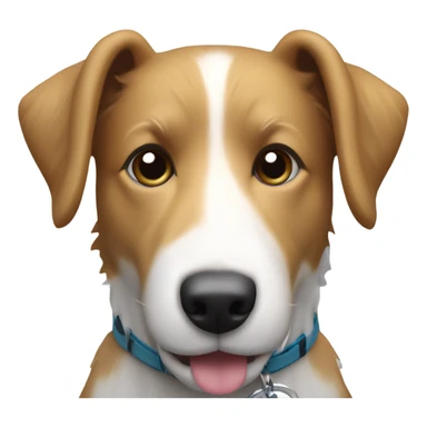 Small terrier collie cross with white stripe in middle of head with a dog toy sticker