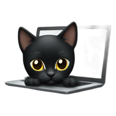 black cat using laptop sticker