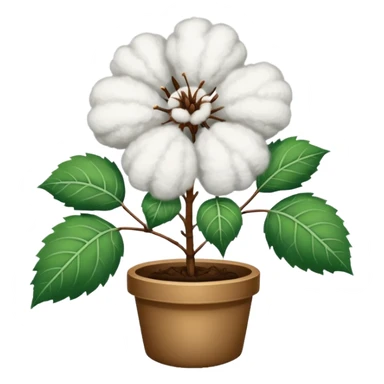 A cotton plant sticker