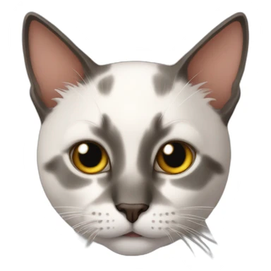 cat very hot sticker